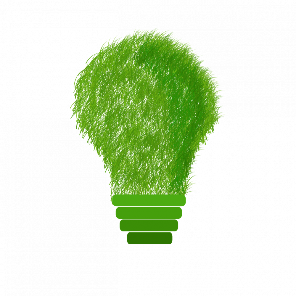 Corporate Social Responsibility (CSR): A Comprehensive Guide for Individuals and Businesses